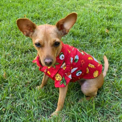 Special Price Hawaiian Soul Food Print Pet's Shirt |  Red