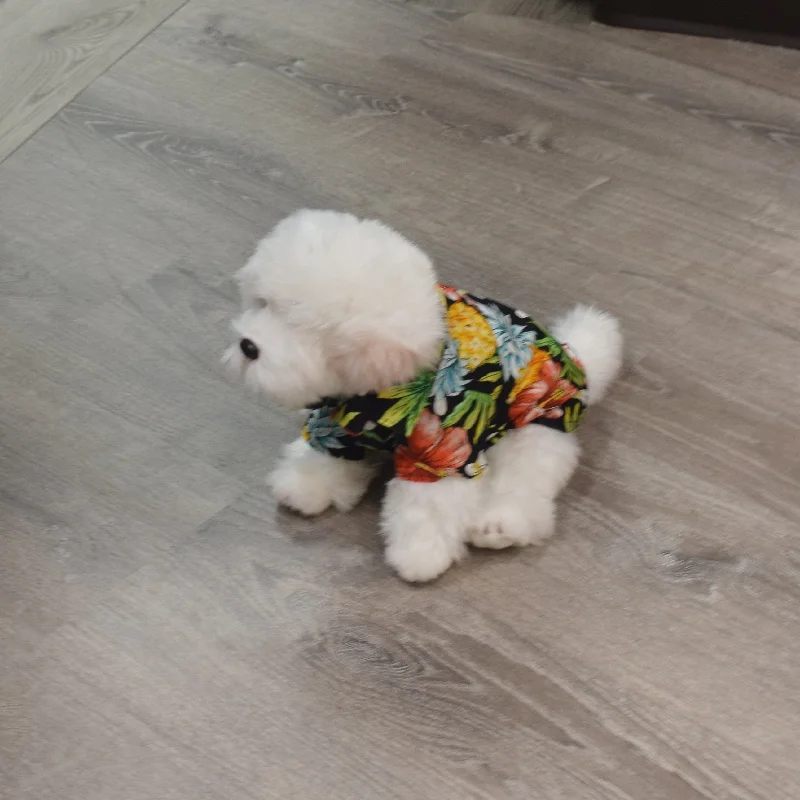 Today’s Special Tropical Print Hawaiian Dog Shirts / Black［Dog and owner hawaii shirts］